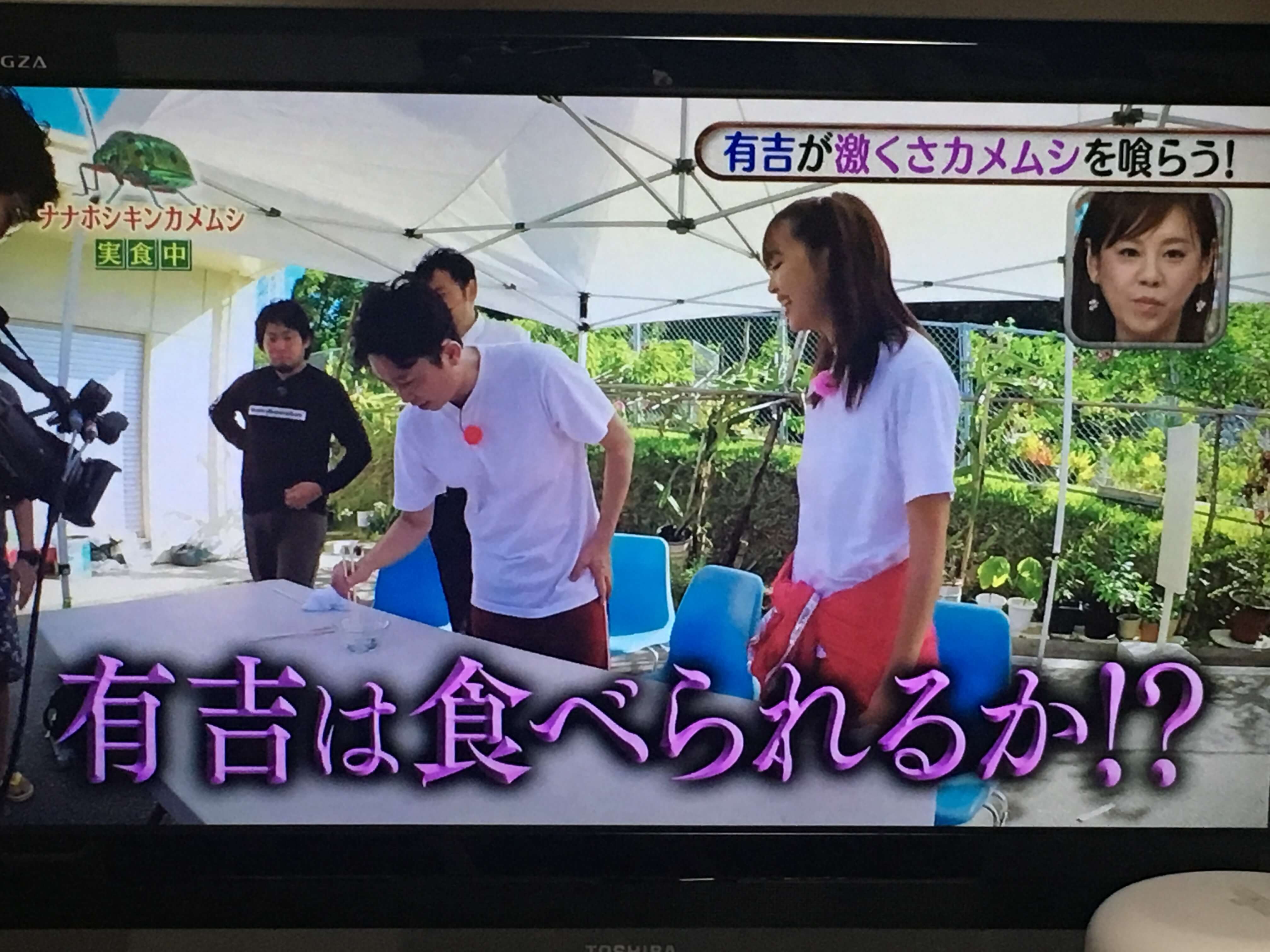 有吉のダレトク！？の画像