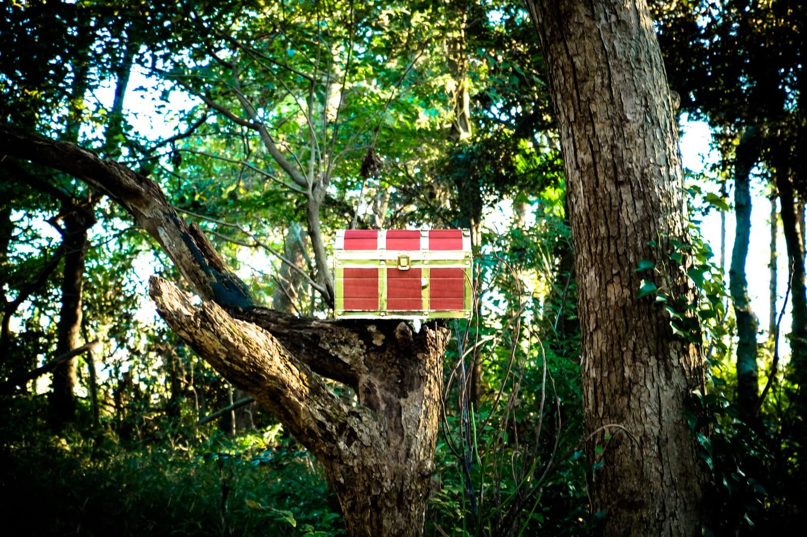 魅力的な宝箱の画像