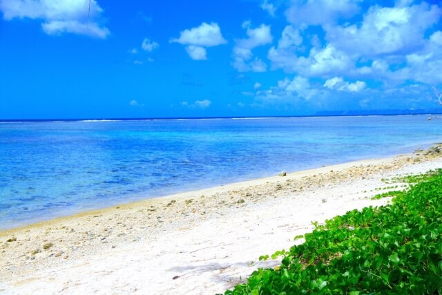 グワムの海の画像
