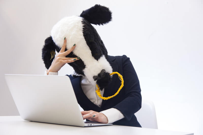 うっかりスケジュールミス