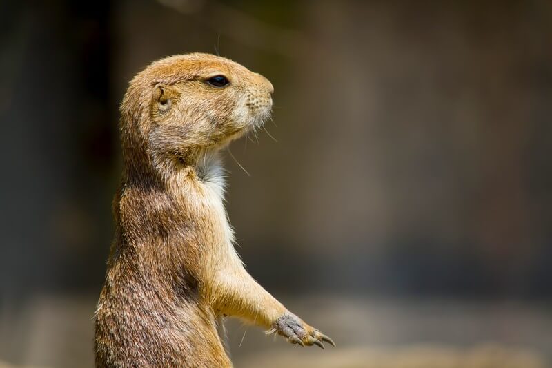 立ち会議って？