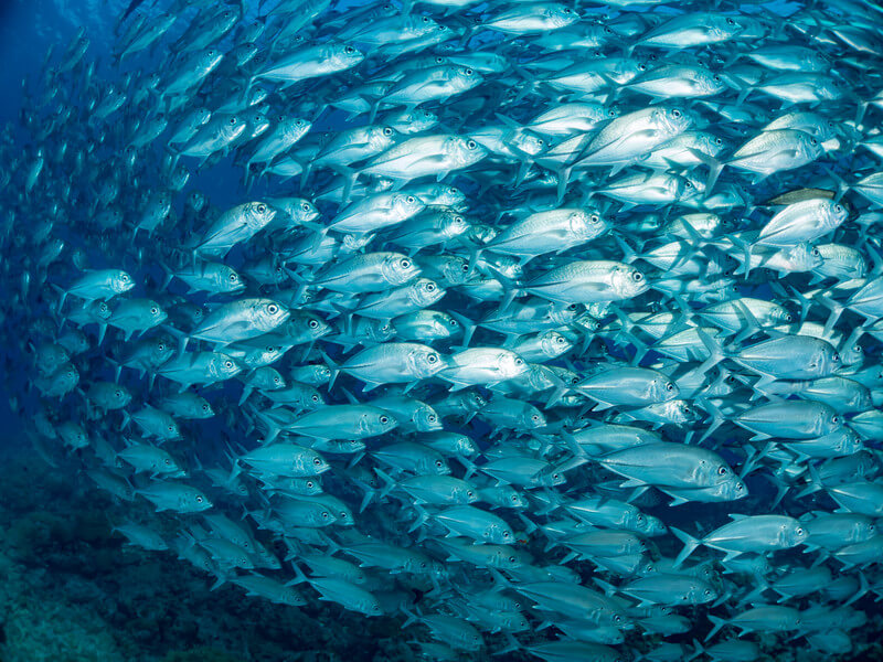 集客は営業にとって命