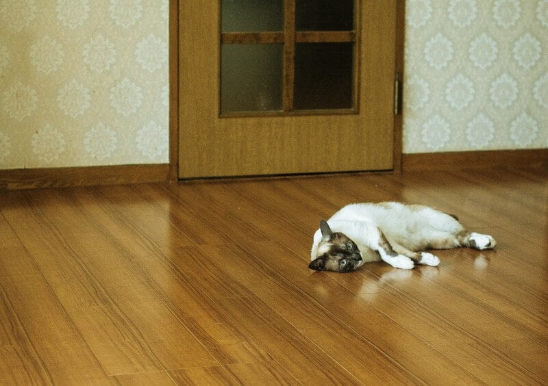 仕事はつらい