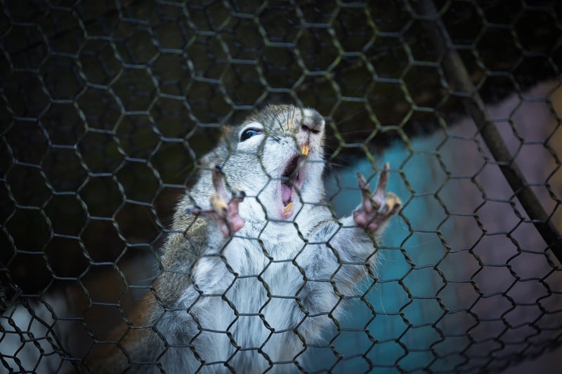 やる気が出ないときは5分だけやってみると勢いがつく！！