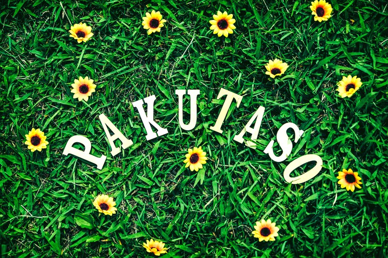 ぱくたそ フリー素材