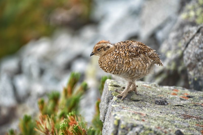 会社に行きたくない!そう思うことは、今を変えるチャンスなのかも?!