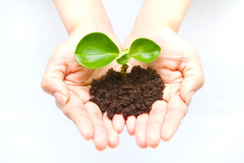 お金持ちになるための自己投資って本を読んだり知識をつけることじゃない！稼がないとダメな環境を作ることが究極の自己投資だ！